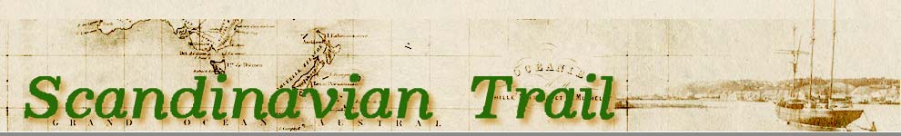 Scandinavian Trail home