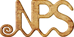 New Pacific Studio logo New Pacific Studio logo